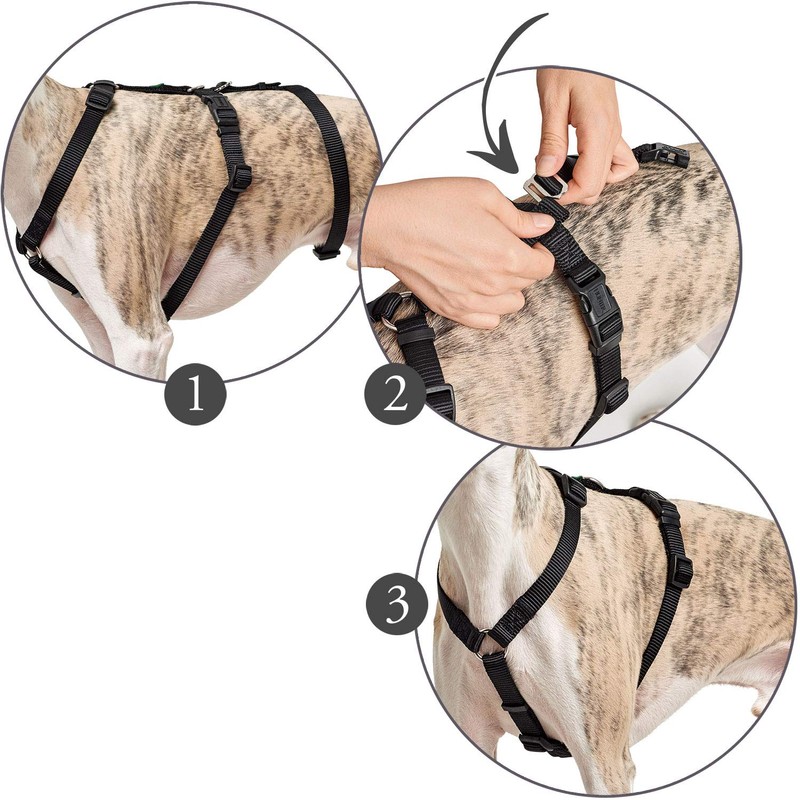 HUNTER Escape-proof harness Vario Rapid, M brown, Nylon