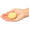 Toysfan Natural Sea Sponge Silk, Size 5 (Approx. 2.0 inches