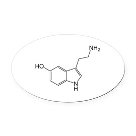 CafePress Serotonin Oval Car Magnet, Euro Oval Bumper Magnet