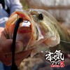 VARIVAS REVIVAL5#3/0 Serious Hook (Maji Hook) Stealth Gray