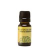 World Magic - Sweetgrass Oil