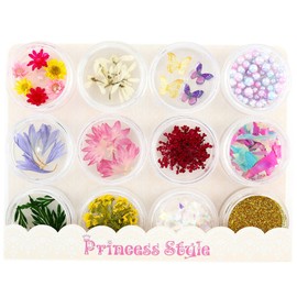 Princess-style Resin Parts, Dried Flower with Euphoria Nail Resin Pressed Flower Materials, Set of 12