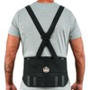 Ergodyne Proflex, Estándar Cinturón Elástico Soporte de la Espalda, Color