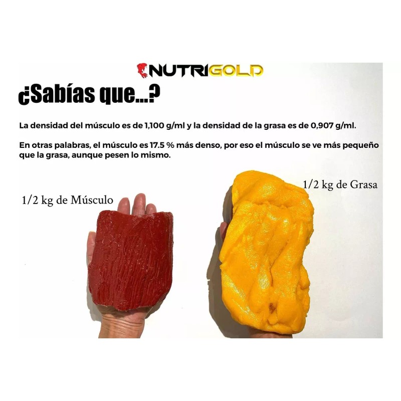 NutriGold Réplica De Alimentos Flexibles Kit Basico 35 + Mat