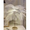 Creative White Ostrich Feather Table Lamp Bedside Lamp Light Luxury