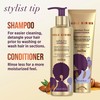 Pantene Shampoo and Sulfate Free Conditioner Kit, with Argan Oil,