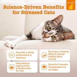 Zesty Paws Calming Mousse for Cats - Composure & Relaxation for Stress & Separation - Cat Supplement with Ashwagandha, L-Theanine, Valerian Root & Vitamin B1-3ct