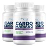 Naima Cardo Mariano 500mg - 100 Cápsulas Pack 3 Frascos