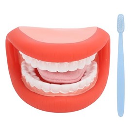 ZJchao Marioneta de Boca, Modelo de Lengua y Dientes Herramientas Educativas para Niños y Niñas Remedio del Habla Modelo de Dientes de Demostración del Habla de Silicona