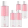 APIEU Mineral Large Capacity Sweet Rose Lip & Eye Remover, 250ml, 5 pcs / 어퓨 미네랄 대용량 스윗로즈 립앤아이 리무버, 250ml, 5개