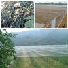 GWHOLE Bird Protection Net Close-Mesh Leaf Protection Net 8 x