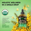 Nutra Harmony Mullein Apoyo Respiratorio Y Pulmones 120ml Sin Sabor