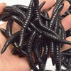 Worms 30pcs Earthworms Maggot Figure Joke Toys for Halloween Decorations