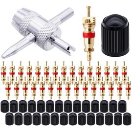 MEAJOO 30 Brass Tire Valve Cores + 30 Tire Valve Stem Caps - Universal Schrader Valve Stem Cores for Cars, Motorcycles, Bikes, RV, AC - 4-in-1 Tyre Valve Removal Tool