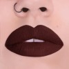 Pink Up, Labial Indeleble, Alta Pigmentación, No Cuartea Color Terracota