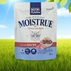 뉴트리플랜 모이스트루 참치와 연어 80g x 12개 고양이간식 습식파우치 음수량