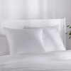 Dreamaker Premium 100% Cotton Sateen Euro Pillow Protector | Skin