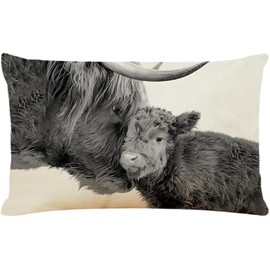 LMABBAQA Highland Cow Throw Pillow Cover 12x20 Inch Cow Print Pillows Farmhouse Linen Decorative Throw Pillow Cushion Cases for Couch Sofa Bedroom