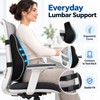 Lumbar Support Cushion for Car & Office – Rebound Back