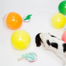 Waggo Dipper Ceramic Dog Bowl for Small and Large Breeds - Heavyweight and Durable Pet Food and Water Dish Crock, Dishwasher Safe, Modern (Light Grey, Small)