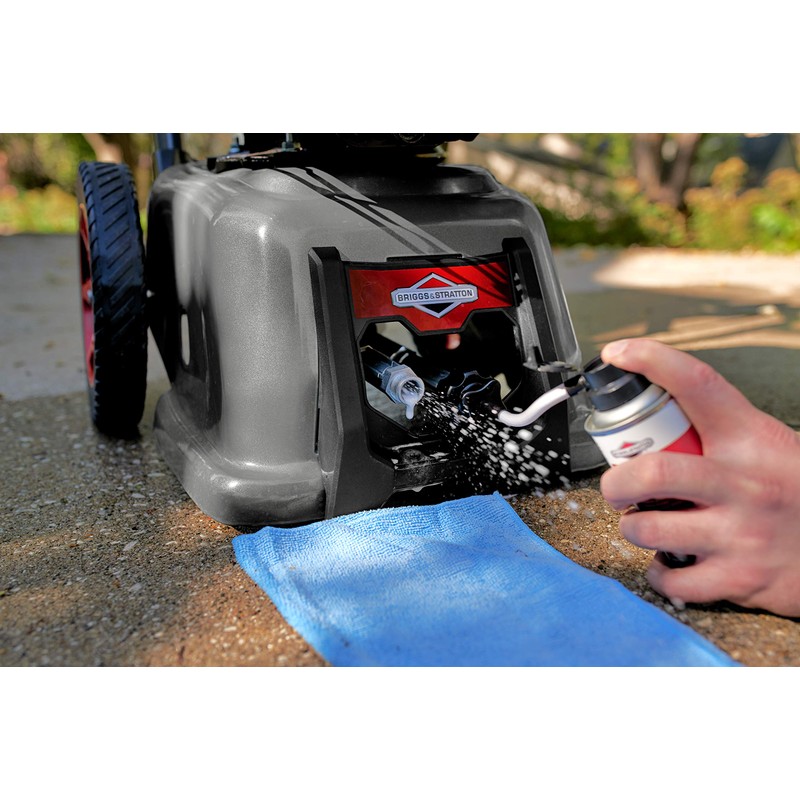 Briggs & Stratton Pressure Washer Pump Saver - 4 Oz.