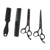 Hair Cutting Scissors Set with Straight Shear and Thinning Shear