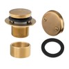 Artiwell Tip-Toe Bathtub Drains Trim Set with Two-Hole Overflow Faceplate,