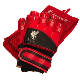 Team Merchandise Goalkeepers Gloves - Youth