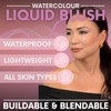 Daniel Sandler Watercolor Liquid Blush — Buildable, Blendable & Long-Lasting