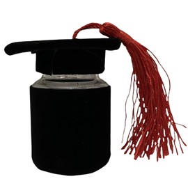Generico 12 x Black Graduation Party Favour Bottle for Confectionery Box Touch Tin Black with Red Tassel (Black/Red)
