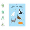 Cute Birthday Card Cats on Hats – Gifts for Cat