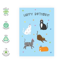 Cute Birthday Card Cats on Hats – Gifts for Cat Lovers, Fur Daddy or Mom, Cat Guy Lady, Him, Her, Friends, Family, Colleagues, Brother, Sister, Kids, and Adults - Pet Owners -Comes with Fun Stickers