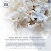 Nootropics Depot White Jelly Mushroom Capsules | 500mg | 60
