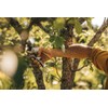 Fiskars PowerLever 1057172 Bypass Secateurs for Fresh Branches and Branches,