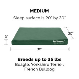 Furhaven Water-Resistant Orthopedic Dog Bed for Medium/Small Dogs w/ Removable Washable Cover, For Dogs Up to 35 lbs - Indoor/Outdoor Logo Print Oxford Polycanvas Mattress - Forest, Medium