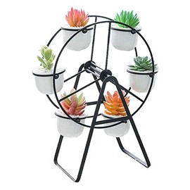Youfui Ferris Wheel Plant Stand with 6 Planters Succulent Pots for Home Office Desk Decoration (Gold)