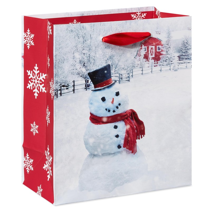 American Greetings Small Christmas Gift Bags, Red, White and Green