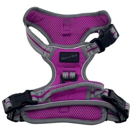 Hem and Boo Dog Harness - Sport, No-pull Reflective, Outdoor Adventure Big Dog Harness - Perfect Match Puppy Vest - Purple, M