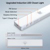 LED Closet Light, 30LEDs Dimmer USB Rechargeable Motion Sensor Light