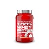Scitec Nutrition 100% Whey Protein Professional – Enhanced with Extra