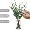 Zhuqing 16.5" Artificial Eucalyptus Stems in Glass Vase with Faux