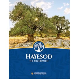 HaYesod: The Foundation | Discover the Jewish Roots of Christianity with This Messianic Study Guide + Video Access (HaYesod Series)