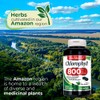 FITO MEDIC'S Lab - Chlorophyll - Pure - 800 mg