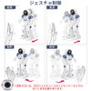 FlyCreat Electric Robot, Remote Control Robot, Toy, Programmable, Gesture Control,