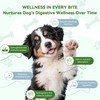 Probiotics for Dogs, Dog Probiotics for Gut Health, Digestive Support,