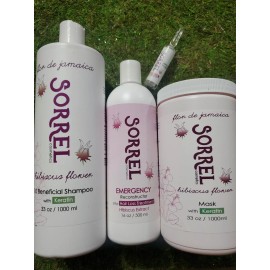 SORREL HAIR LOSS SH.33OZ  EMERGENCIA 16OZ AND MASK HAIR LOSS  PACK 3.BIG DEAL .