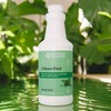 Nature’s Sunshine CHLORO-FEEL