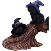 Nemesis Now Purrfect Broomstick Witches Familiar Black Cats and Broomstick