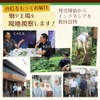 伊豆河童 ゼンヌードル 麺のみ 24食分 1440ｇ（1食60g×24） 1玉1食分 ゼンパスタ 乾燥しらたき zenpasta ローカロリー