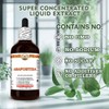 Asafoetida (Ferula Assa-foetida) Dry Herb Tincture, Made in Hawaii, Raw